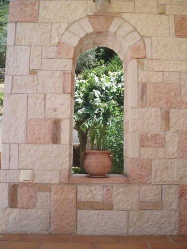 PETRES-TZANIS-ERGA13